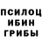 Псилоцибиновые грибы MAGIC MUSHROOMS Nicklas Aittamaa
