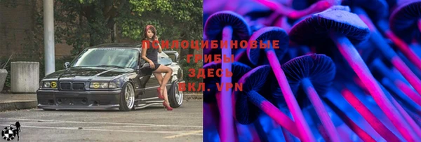 PSILOCYBIN Лагань