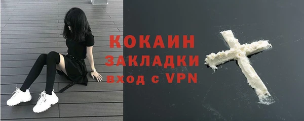 PSILOCYBIN Лагань