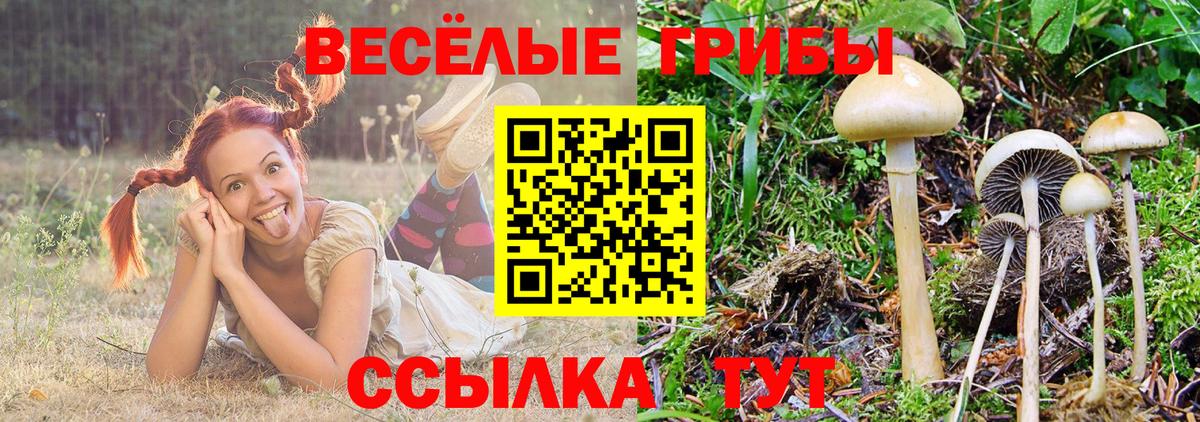 Псилоцибиновые грибы ЛСД Старый Оскол