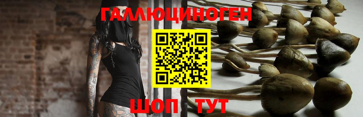 Старый Оскол  где купить наркоту  Вход с VPN  Псилоцибиновые грибы ЛСД 